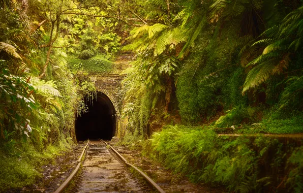 Picture Australia, Railroad, Nature, Australia, Railway