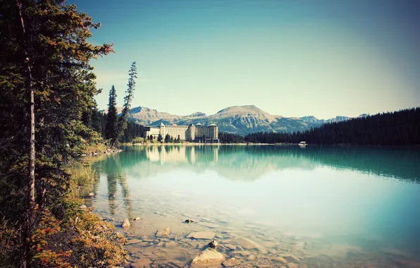 Forest, lake, resort