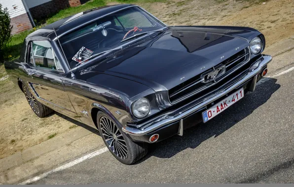 Picture Mustang, Ford, 1964, Hrome