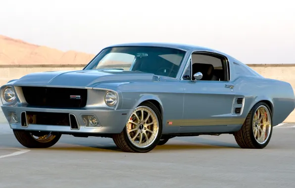 Mustang, Ford, Shelby