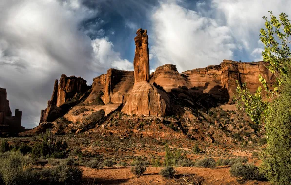 Picture the sky, clouds, light, branches, nature, stones, rocks, vegetation
