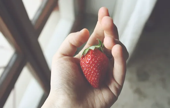 Hand, strawberry, berry, fingers, red