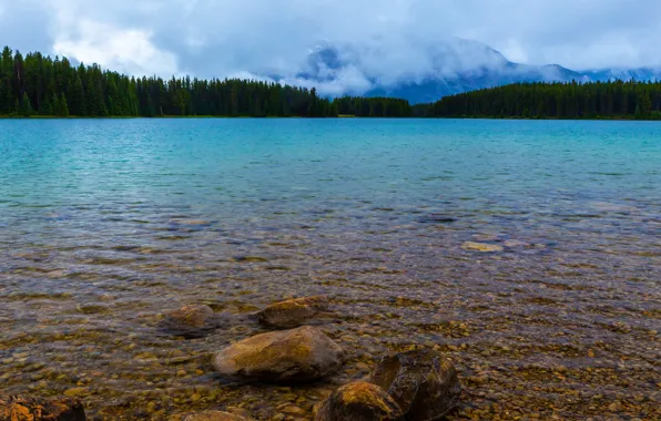Picture forest, landscape, mountains, nature, pebbles, stones, shore, tops