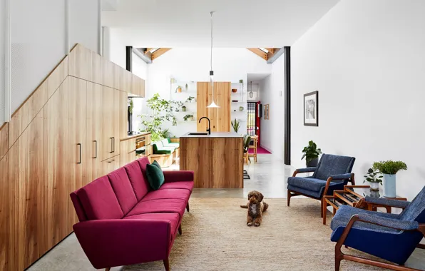 Design, style, interior, kitchen, Austin, Austin, living room, Texas