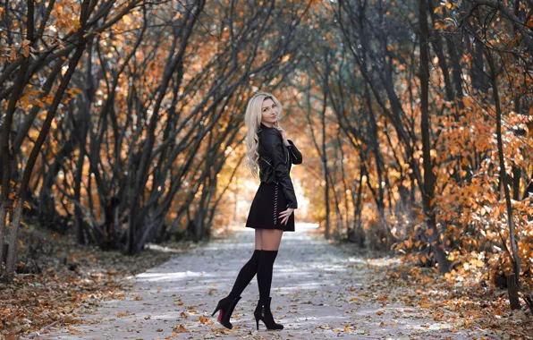 Picture autumn, trees, pose, blonde, alley, gesture, trees, beautiful girl