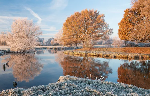 Frost, autumn, trees, landscape, nature, reflection, river