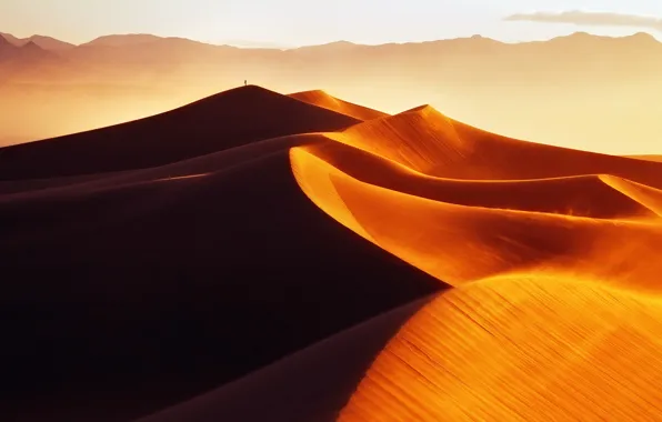 Picture sand, light, the dunes, desert, people, morning, dunes, Golden Sands