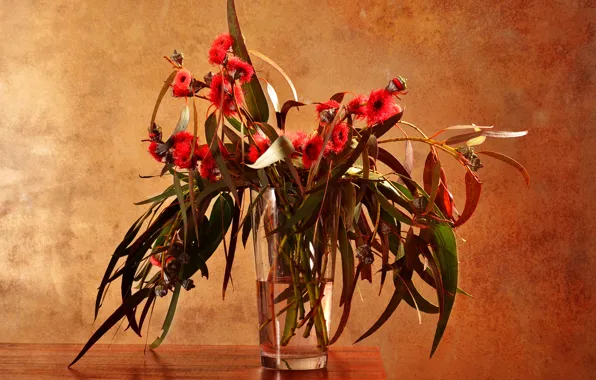 Picture glass, leaves, water, flowers, branches, table, vase, eucalyptus