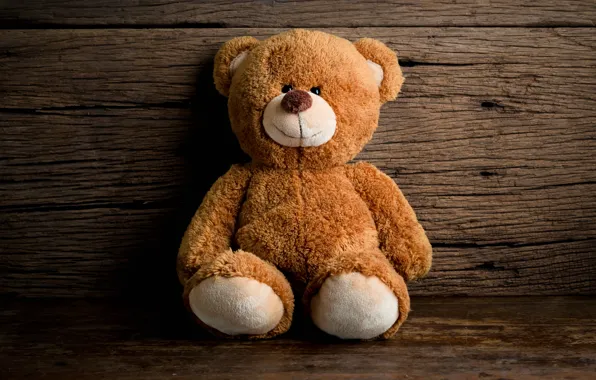 Picture toy, bear, bear, wood, teddy bear, cute