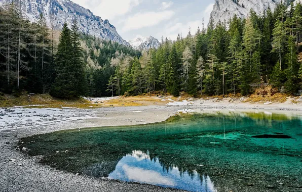 Forest, trees, mountains, lake, rocks, Austria