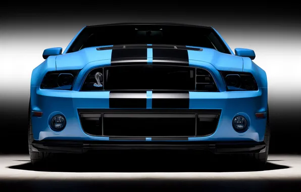 Auto, photo, Wallpaper, cars, ford, shelby, Ford, cars
