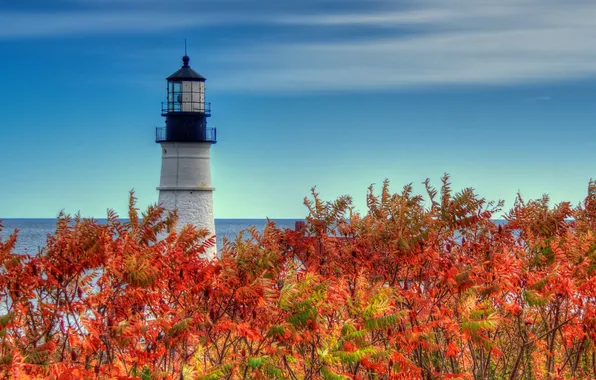 Sea, autumn, the sky, leaves, clouds, lighthouse, the crimson