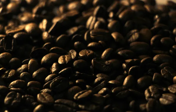 Dark, coffe, seeds