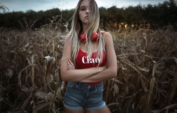 Picture field, grass, girl, pose, shorts, the evening, headphones, Mike