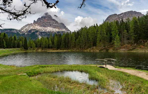 Forest, summer, grass, clouds, mountains, branches, lake, rocks