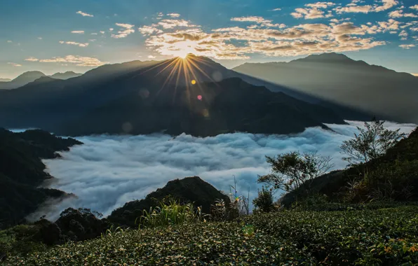 The sun, clouds, mountains, fog, dawn, vegetation, the slopes, height