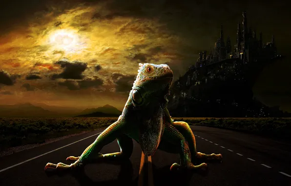 Road, the city, lizard, lizard, fantasy