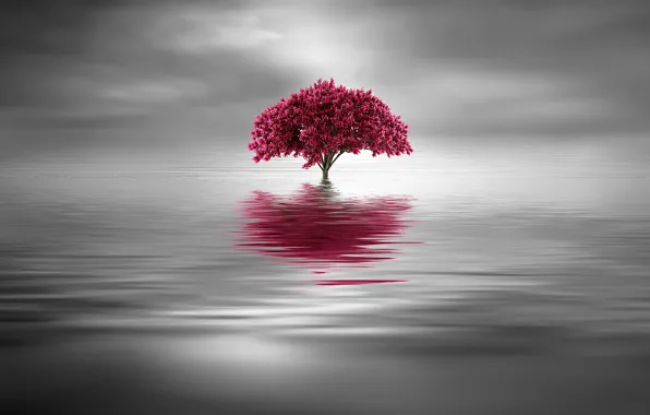 Picture sea, water, reflection, fog, tree, Clouds, minimalism, ruffle