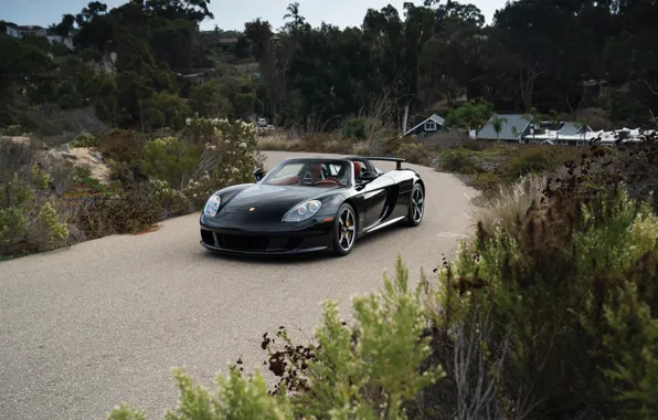 Picture Porsche, supercar, black, Porsche Carrera GT