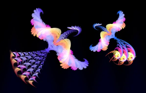 Birds, fantasy, fractals, minimalism, fantasy, black background, birds, fractals
