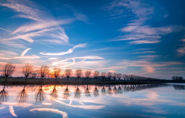 Picture trees, river, perspective