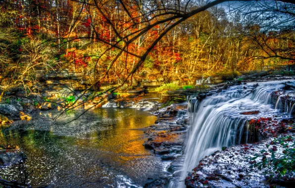 Autumn, forest, trees, river, stones, foliage, waterfall, rifts