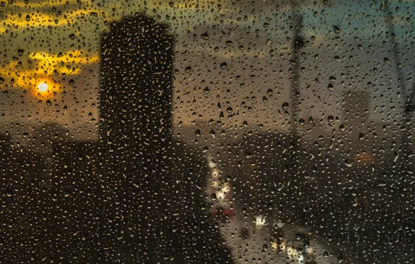 Glass, the sun, drops, the city