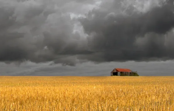 Field, storm, the barn, farm, gray clouds