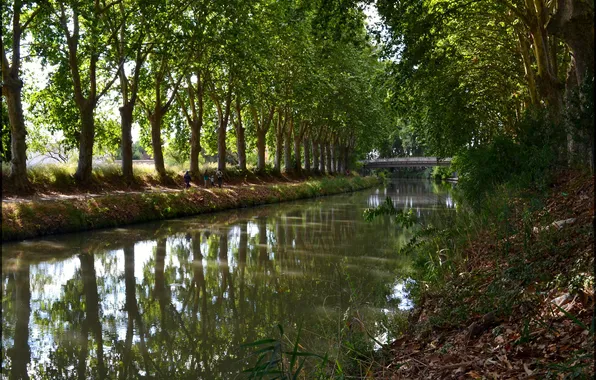 Trees, bridge, Park, people, channel, France, canal du midi