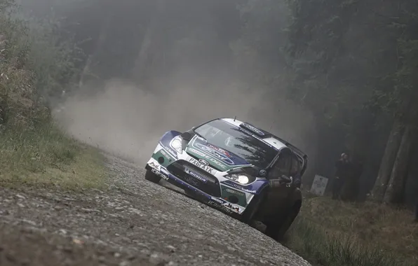 Ford, Forest, Race, Skid, WRC, Rally, Fiesta, Fiesta
