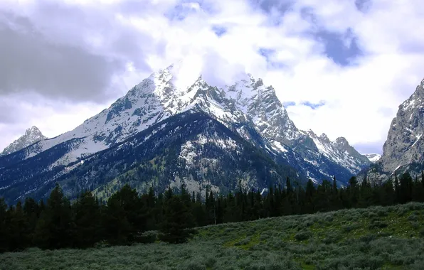 Forest, clouds, snow, mountains, glade