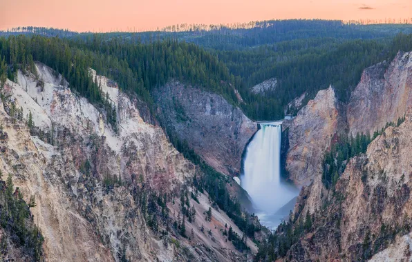 Forest, landscape, nature, rocks, waterfall, canyon, national Park, The Grand Canyon of Yellowstone National Park