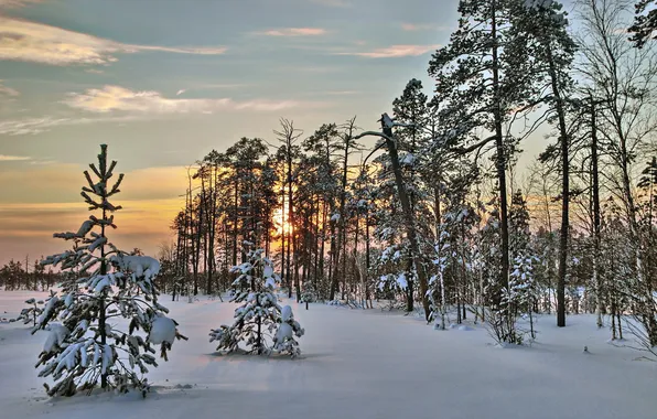 Winter, sunset, the evening