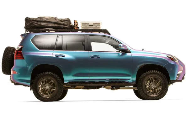 Picture Concept, Lexus, Lexus, Lexus GX460 Overland