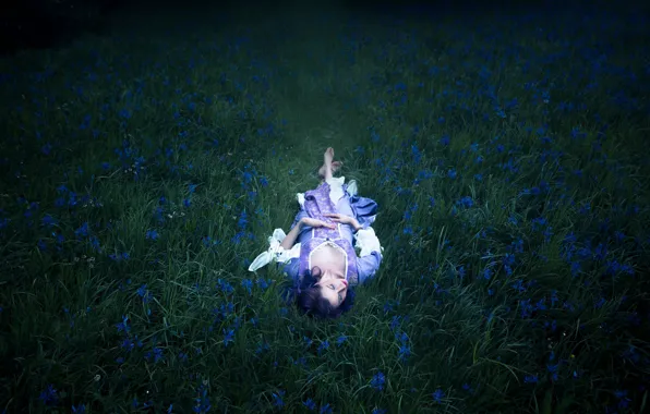 Grass, girl, flowers, stay, dress, Lichon