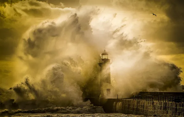 Wave, squirt, storm, nature, lighthouse