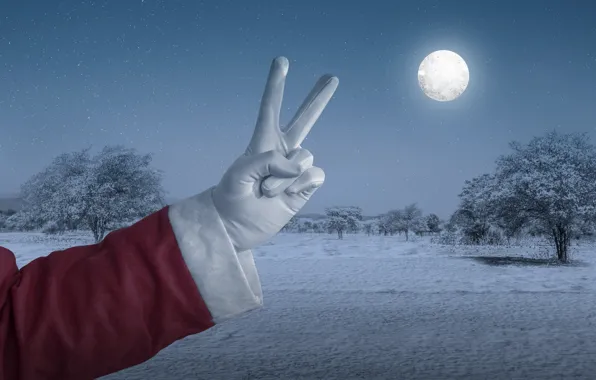 Winter, field, the sky, stars, snow, trees, night, the moon