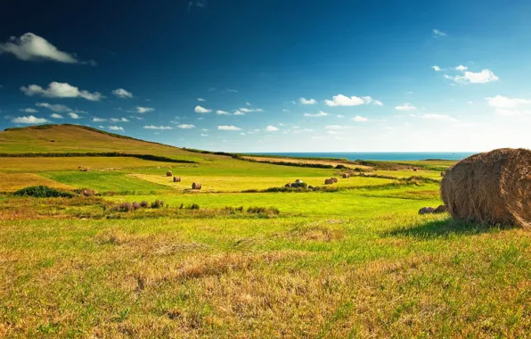 Field, the sky, clouds, blue, hay, bales