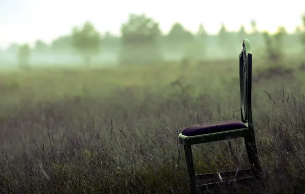 Picture field, fog, chair