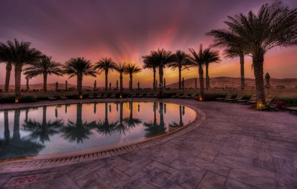 Sunset, the city, palm trees, desert, the evening, pool, the hotel, Abu Dhabi