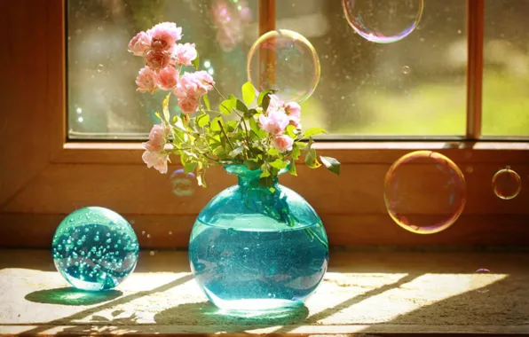 Bubbles, blue, still life, vase, roses
