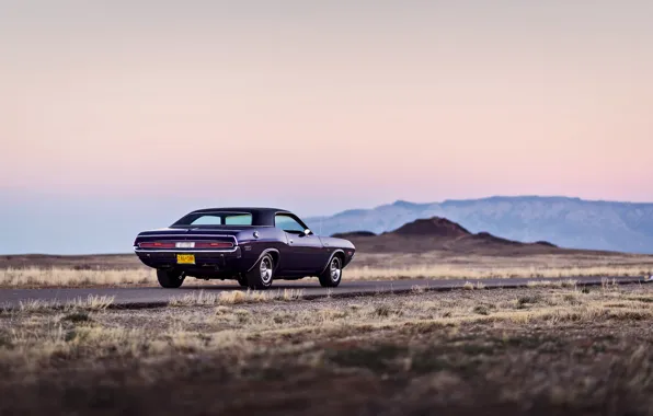 Road, mountains, wheel, back, Dodge, Challenger, twilight, tail lights