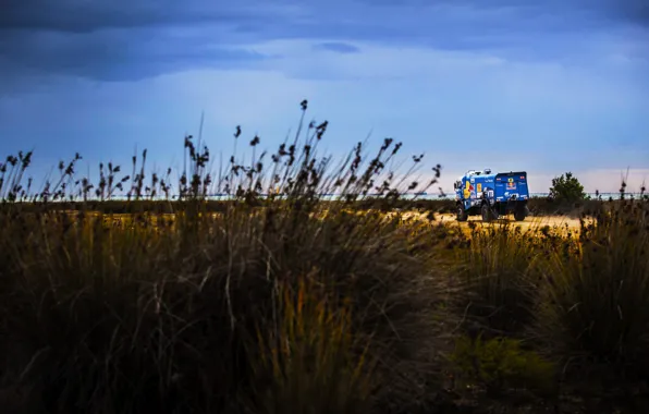 Nature, Grass, Sport, Truck, Race, Master, Beauty, Russia
