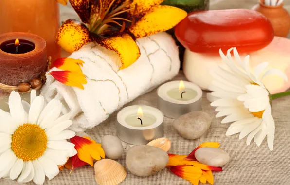 Flowers, stones, chamomile, candles, petals, soap, shell, towels