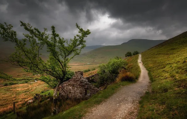 Clouds, overcast, path