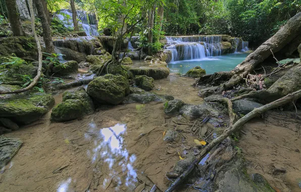 Forest, landscape, river, rocks, waterfall, summer, forest, tropical
