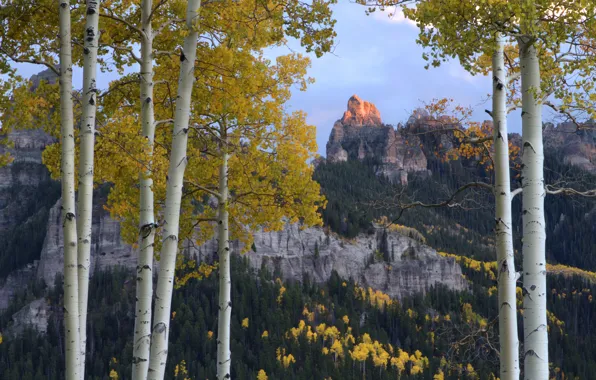 Autumn, mountains, rocks, aspen