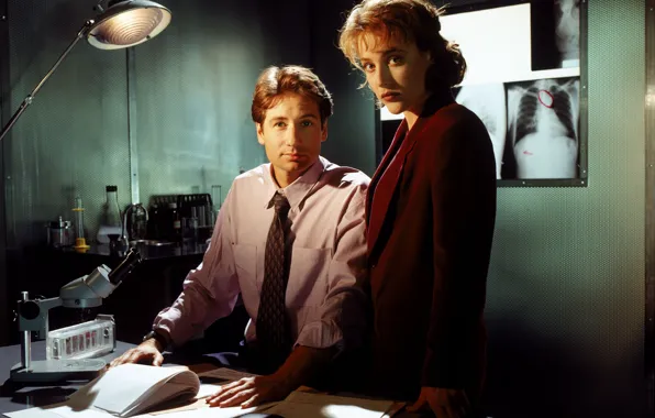 Picture the series, The X-Files, Classified material, Scully, Mulder