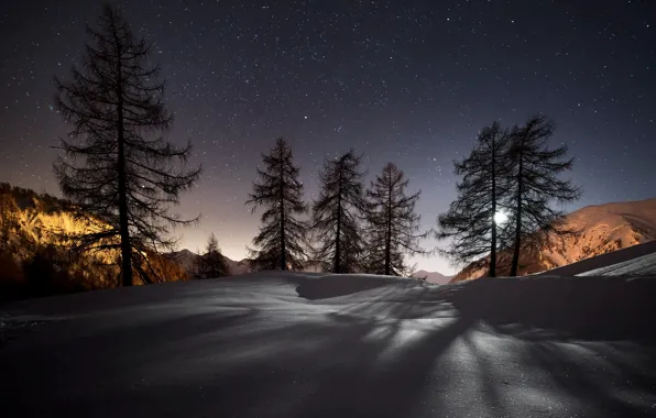 Picture winter, stars, snow, trees, mountains, night, nature