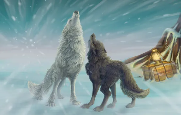 Winter, snow, art, lantern, wolves, howl, box, Blizzard